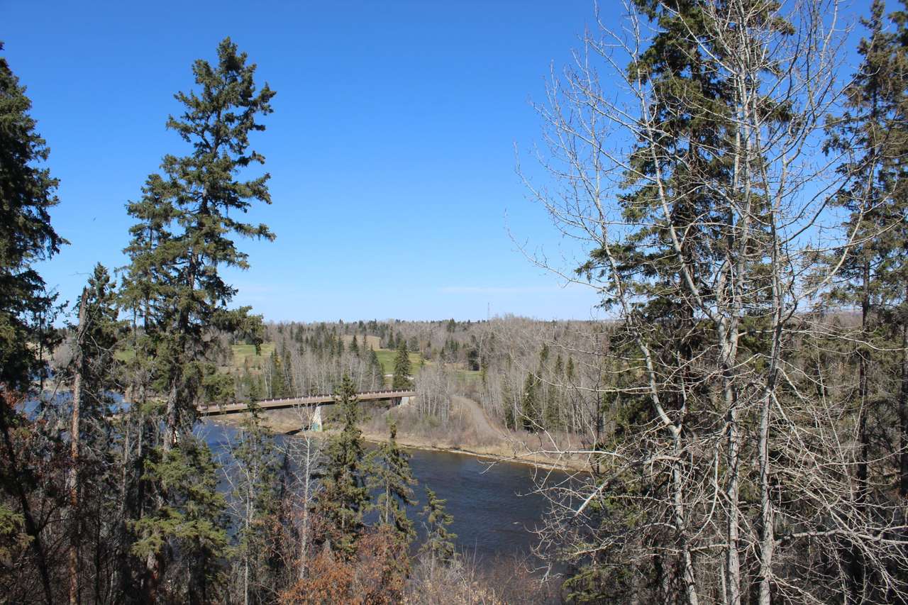 The Red Deer River seen through spruce trees from the Heritage Ranch staircase in Red Deer